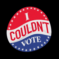 Election Day Vote GIF