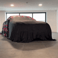 Luxury Car GIF by PaddlUp