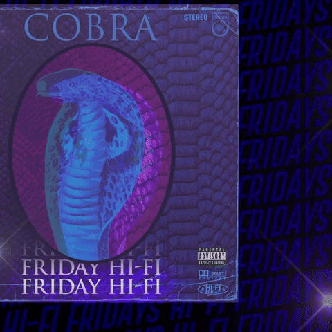 Vinyl Records GIF by Cobra