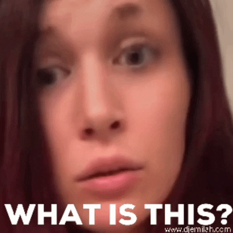 What Is This GIF by Djemilah Birnie