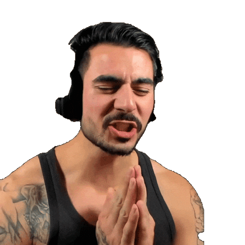 Streamer Please Sticker