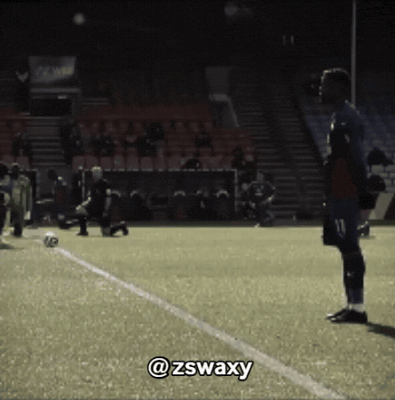 Crystal Palace Racism GIF