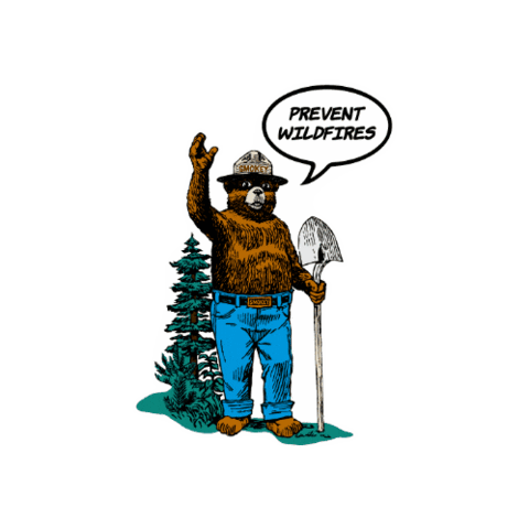 스모키베어 Sticker