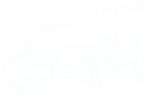 Motorsport Slalom Sticker by DMSB e.V.