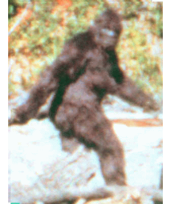 bigfoot