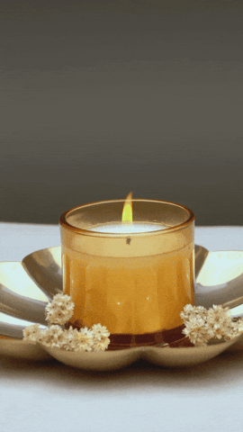 GIF by Valsugana Rugby Padova