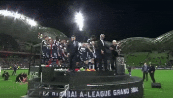 Grand Final Soccer GIF
