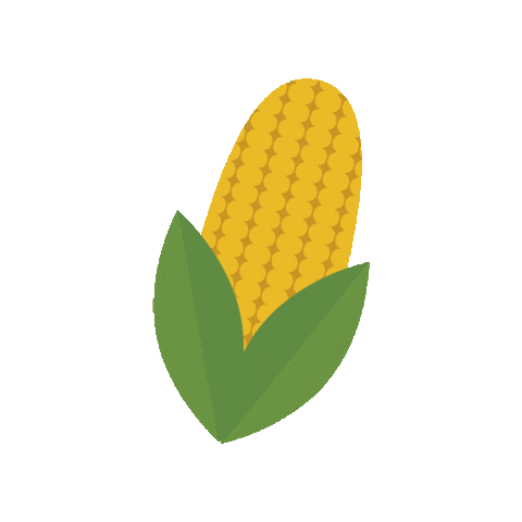 Junina Sticker by Faculdade Católica Paulista