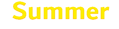 Summer Sun Sticker