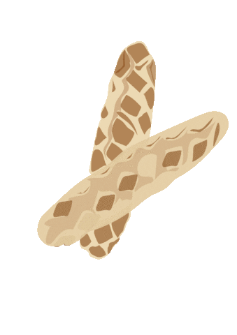 Levaduramadre Sticker