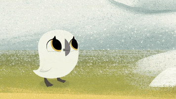 #puffin #rock #puffinrock #baba #oona #snow #jump #disappear GIF by Puffin Rock