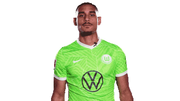 Football Sport Sticker by VfL Wolfsburg