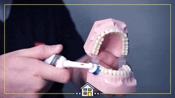 Teeth Brushing GIF by The Dental House