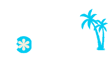 Musica Maceio Sticker by Festival Carambola