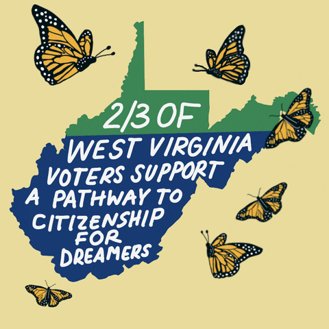 West Virginia Butterfly GIF by Creative Courage