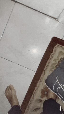 Halloween Monkey GIF