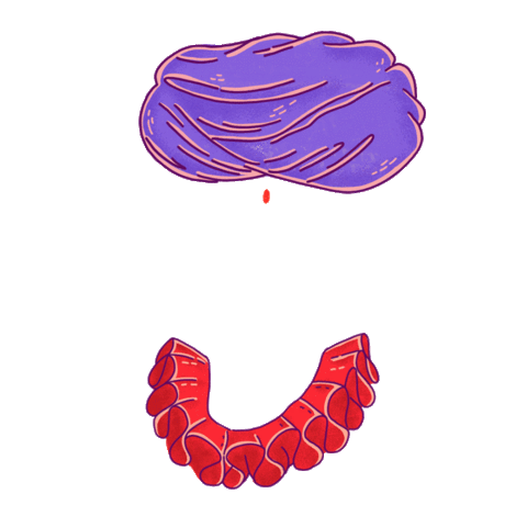 India Culturacolectiva Sticker by CC