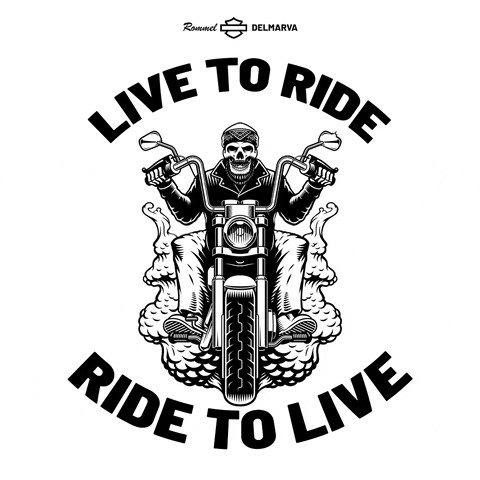 Bike Motorcycle GIF by Rommel Harley-Davidson