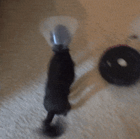 Casper GIF
