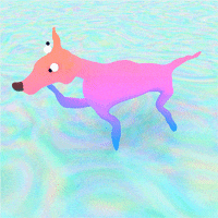 images Animated Dog Running Gif bad dog running gif by shane beam