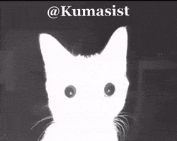 Kumasist GIF