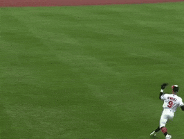 Orioles GIF