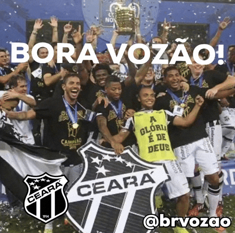 Brvozao GIF