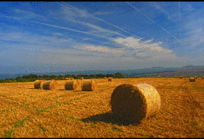 barriefoster rural development pembrokeshire development economic development.maritime development GIF