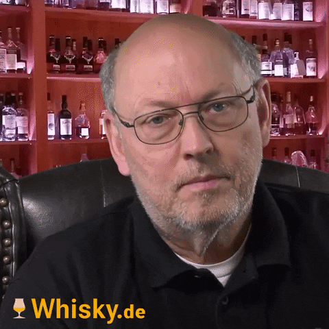 Skeptic Reaction GIF by Whisky.de