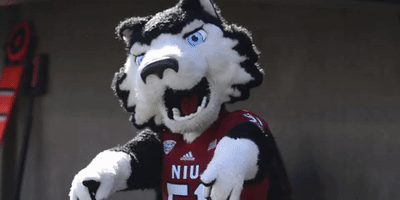 niu huskies GIF by Northern Illinois University