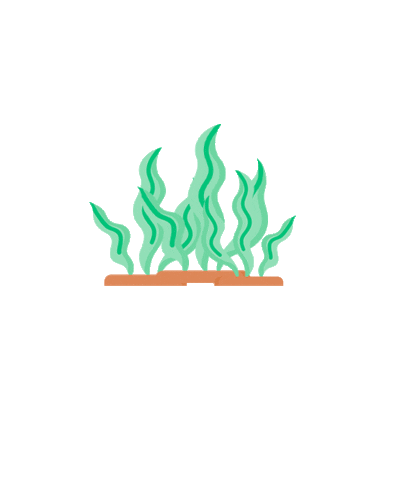 Phykology Indonesia Sticker