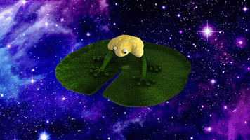 jumpersoficial space star stars frog GIF