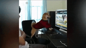 Animated GIF