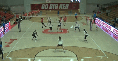 Block Beau GIF by Brown Volleyball