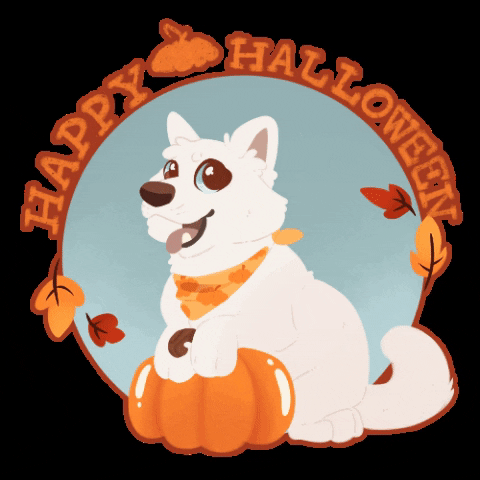 00Kingfisher00 dog fall pumpkin happy halloween GIF