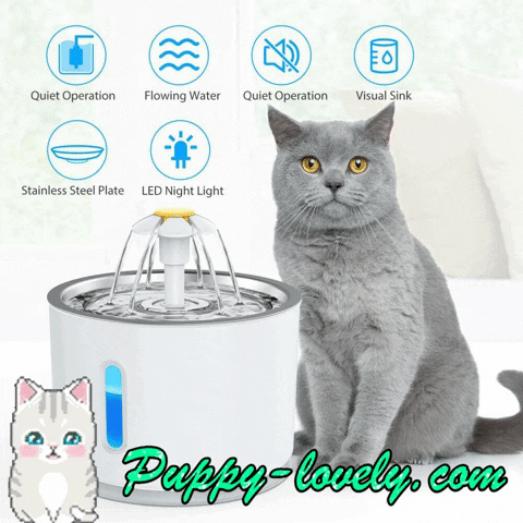 PuppyLovely cat cats kitty pet GIF