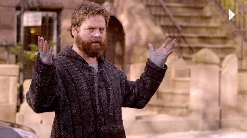 zach galifianakis GIF