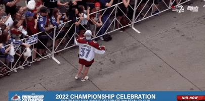 Stanley Cup Sport GIF by NHL