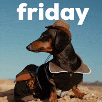 Its Friday Dog GIF by Sealed With A GIF