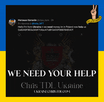 ChrisTDLUkraineSupport life help support war GIF