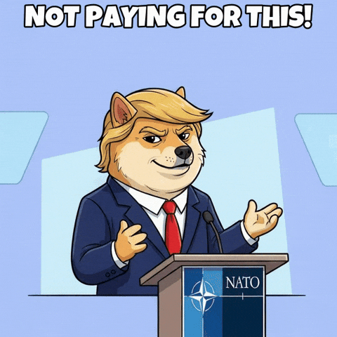 Mood Speaking GIF by Doge Pound