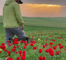 Ulkantoglar GIF
