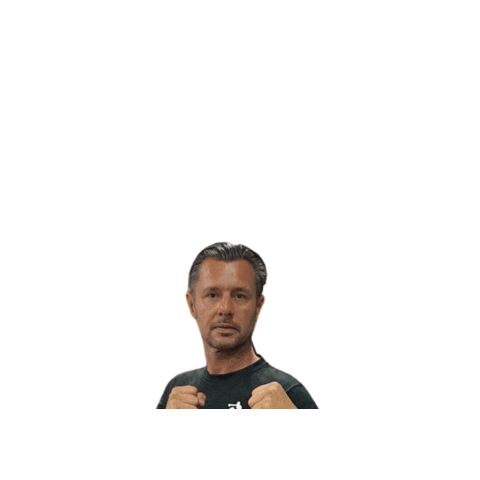 Rayfit Sticker