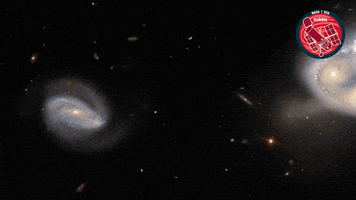 Eyes Nasa GIF by ESA/Hubble Space Telescope