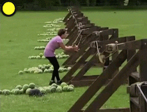 https://media1.giphy.com/media/73YmkGK4hDub6/giphy.gif?cid=28f76e61cdfrze9rc319m4wr12drz8cq5k9di3gtexnv7eod&rid=giphy.gif