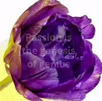 Morning Passion GIF by Learner Circle