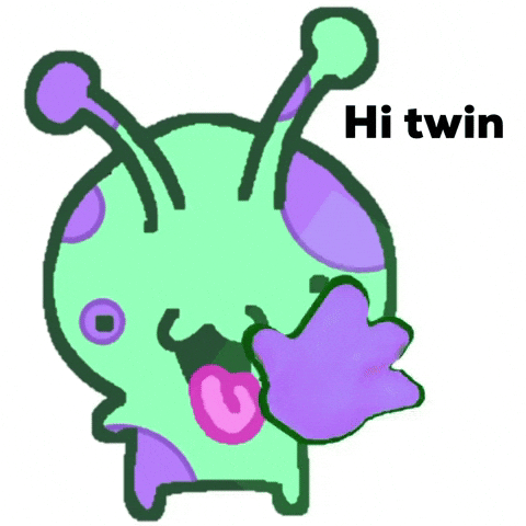 Hi Twin Hello GIF