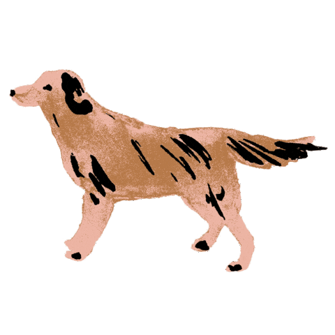 Dog Puppy Sticker by Anthropologie