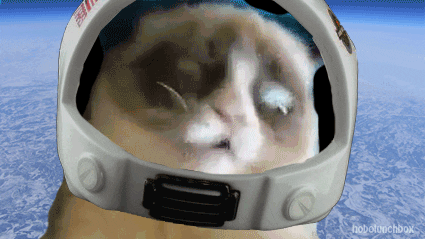 grumpy cat space GIF by Cheezburger