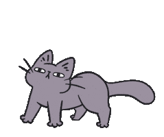 Cat Dancingcat Sticker